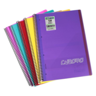Gıpta Chromo Defter Çizgili Spiralli PP Kapak 21 cm x 29.7 cm 120 Yaprak Gıpta Chromo Defter Çizgili Spiralli PP Kapak 21 cm x 29.7 cm 120 Yaprak